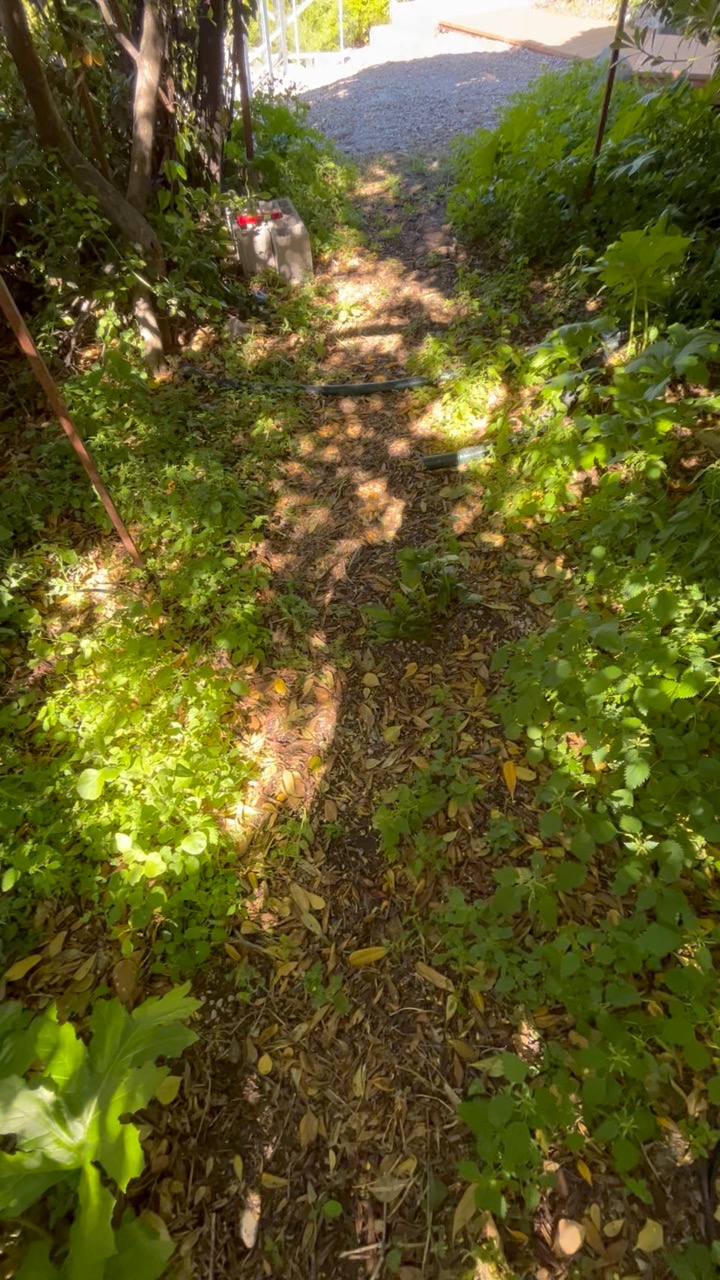 Chantier Roucas - Photo 140